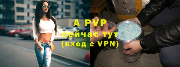 2c-b Дмитриев