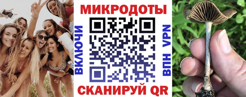 Псилоцибиновые грибы мицелий  Купить  Дмитровск 